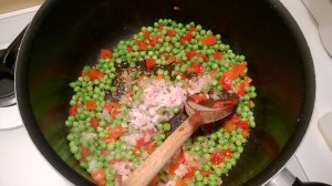 WP_20150415_18_22_11_Pro