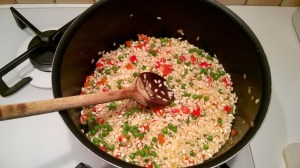 WP_20150415_18_25_47_Pro