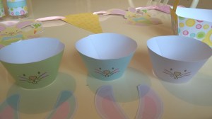 WP_20150416_17_18_51_Pro