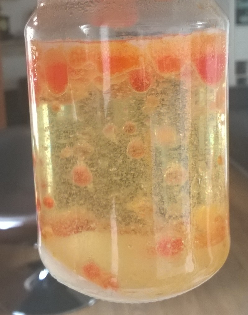 WP_20150525_11_16_38_Pro