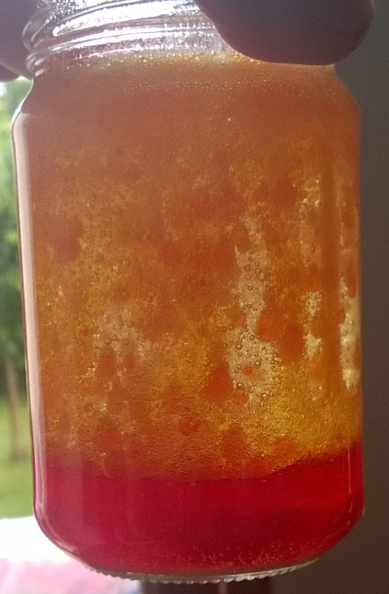 WP_20150525_11_26_13_Pro