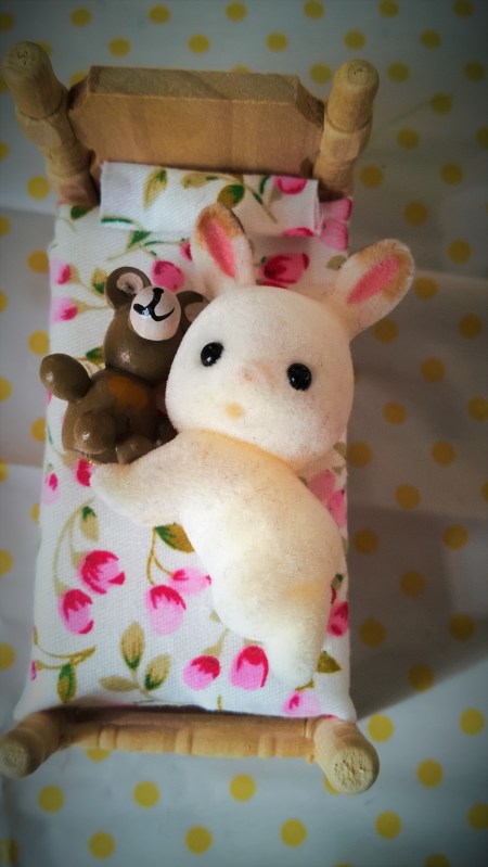 WP_20151020_15_54_36_Pro