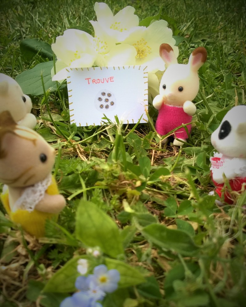 chasse au trésor dans la prairie fleurie 2