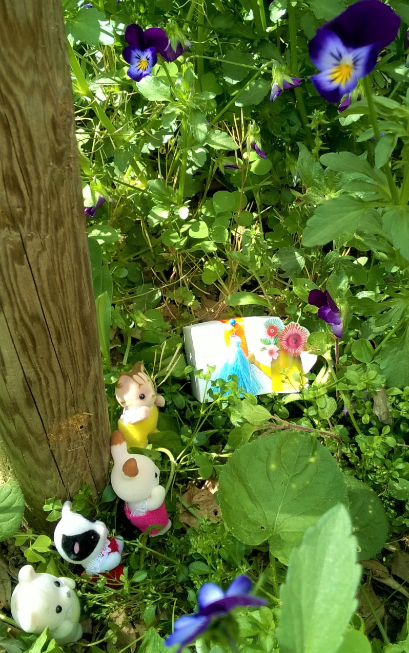 chasse au trésor dans la prairie fleurie 5