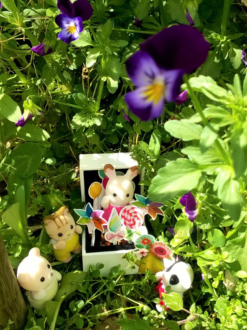 chasse au trésor dans la prairie fleurie 6