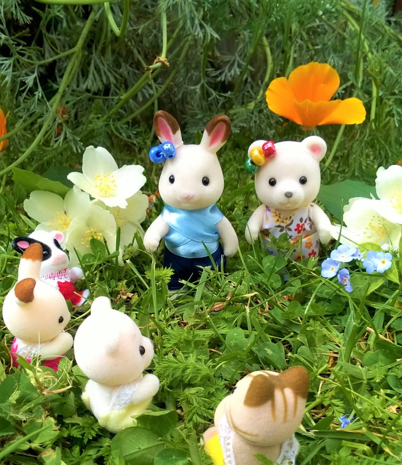 chasse au trésor dans la prairie fleurie