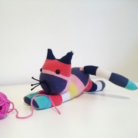 chat chaussette (3)