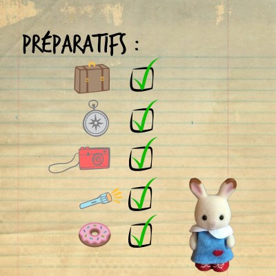 Introduction Sylvanian voyage