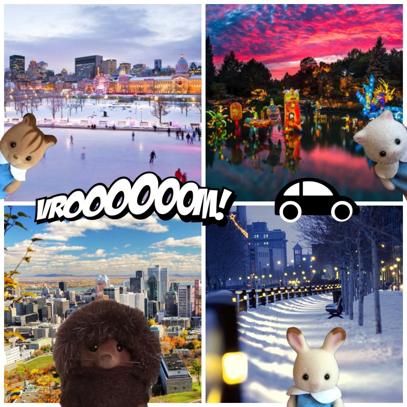 Les Sylvanian au Canada 6.jpg