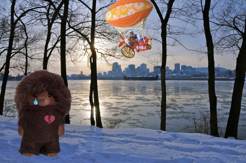 Les Sylvanian Families au Canada 10