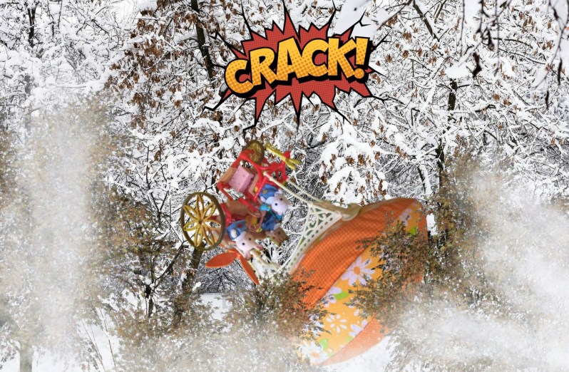 Les Sylvanian families au canada 2