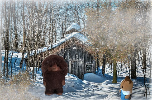 Les Sylvanian Families au Canada 3