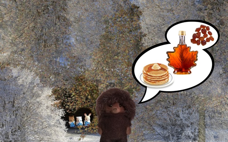 Les Sylvanian Families au Canada 4