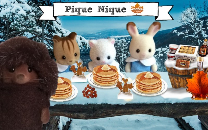 Les Sylvanian Families au canada 5