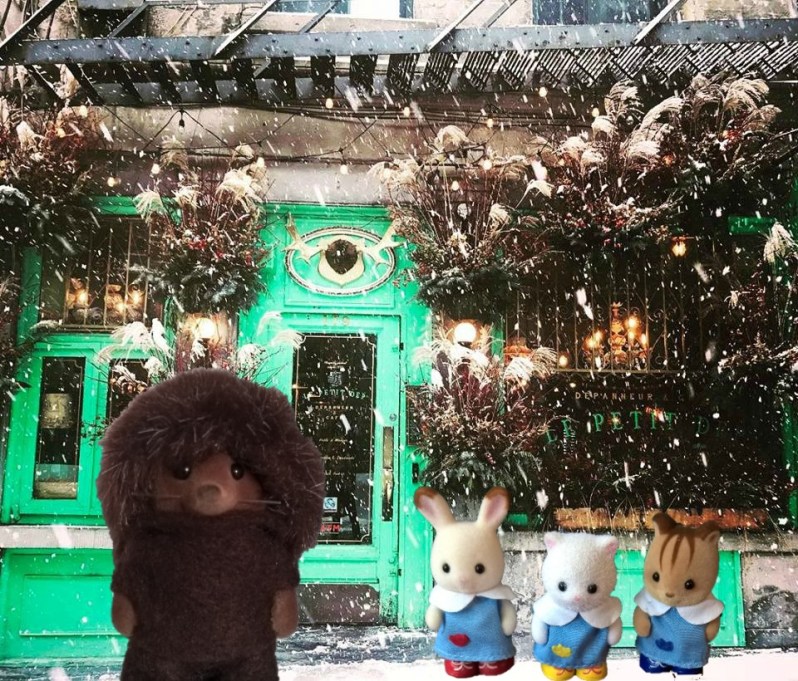 Les Sylvanian Families au Canada 9