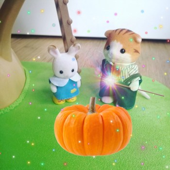 Carrosse conte de fées Sylvanian Families citrouille