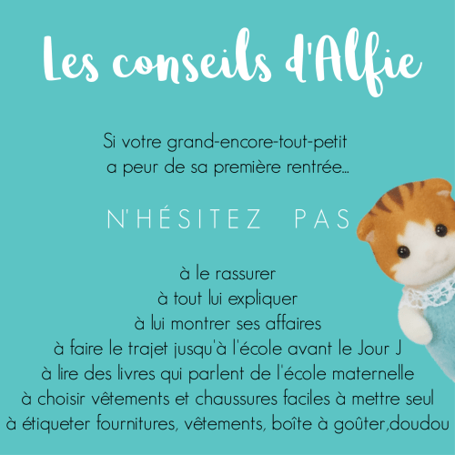 conseil d'alfie