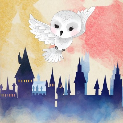 Calendrier Avent Harry Potter