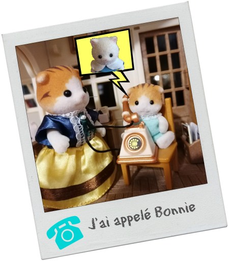 Sylvanian Families Chère maîtresse (10)
