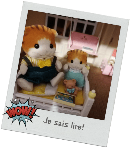 Sylvanian Families Chère maîtresse (7)